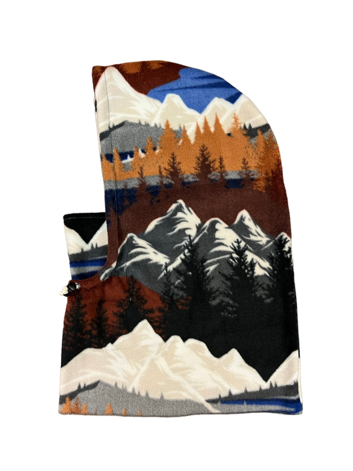 Hood, Winterscape