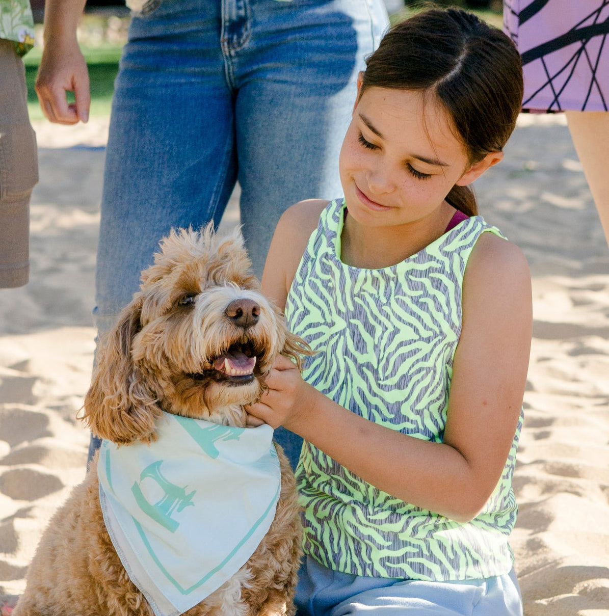 Summer Festival Top, Neon Zebra