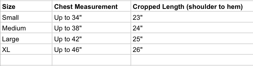 Party Shirt, Child’s Play (Crop)